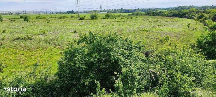 Alfa Imob! Teren 7Ha,centura de nord, 500000 euro. - 1