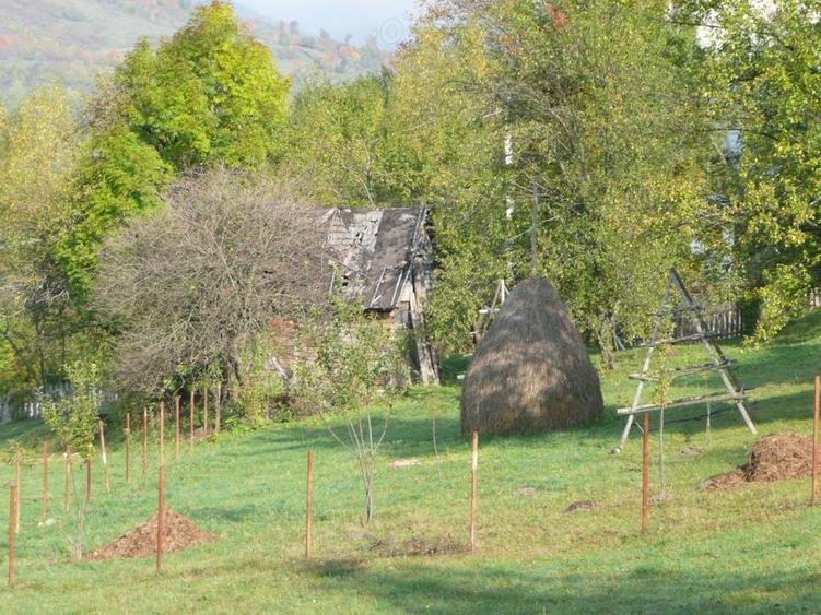 Teren de 1000 mp, în Teșila