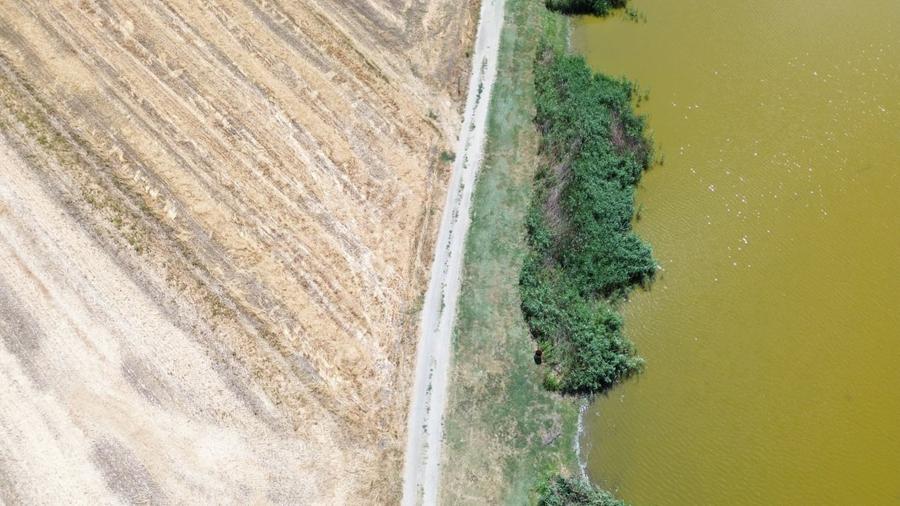 Teren Construcții extravilan de 6500 mp, în Frumușani