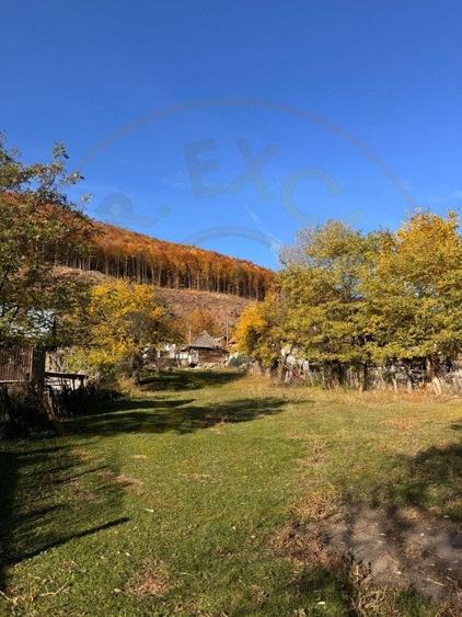 Teren Construcții intravilan de 7500 mp, în Sălătrucu