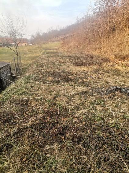 Casă cu 4 camere cu Teren 150 Mp în Nadăș