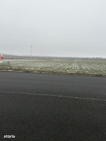 Teren de 30000 mp, în Săucești