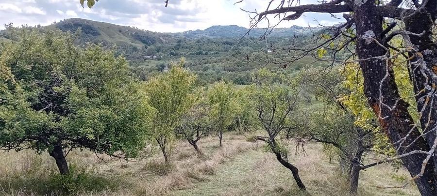 Casă cu Teren 12500 Mp în Suslănești