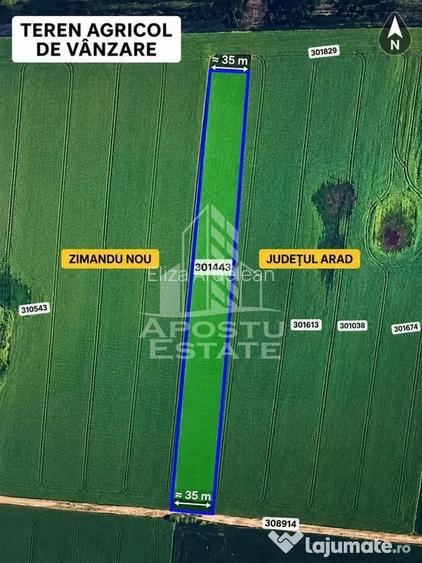 Teren agricol de vanzare -Zimandu Nou - Arad (Arad)