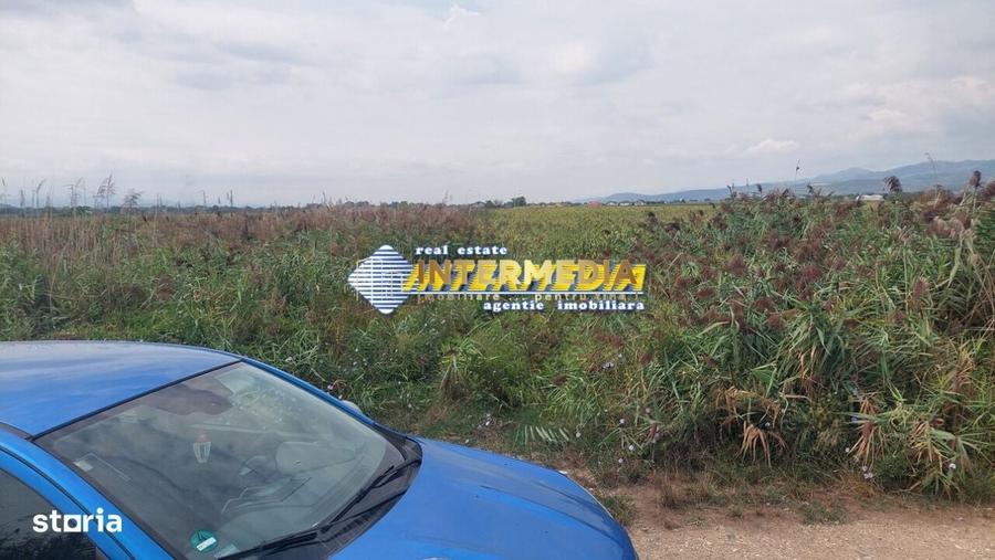 Spațiu comercial, în Ciupercenii Noi