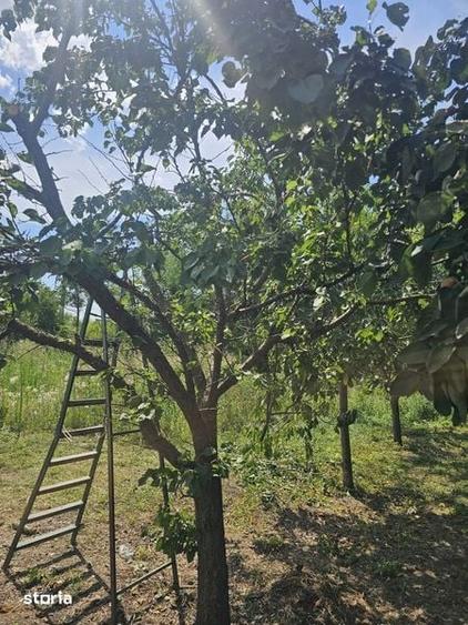 Casă cu 3 camere cu Teren 2000 Mp în Sărățeni