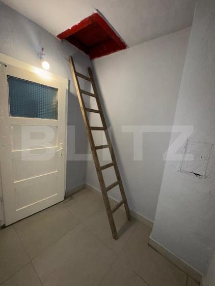 Casă individuală cu 4 camere cu Teren 5594 Mp în Crișcior