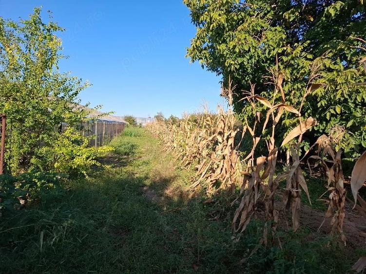 Teren de 1650 mp, în Vărsătura