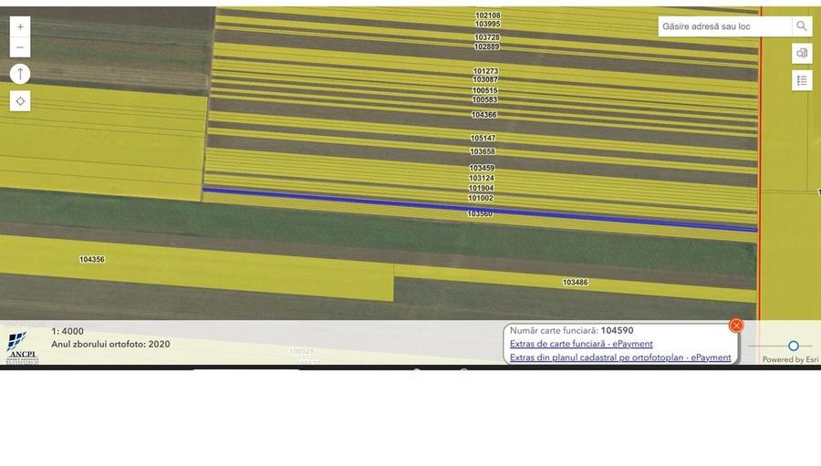 Vanzare teren agricol Jud Constanta - 9