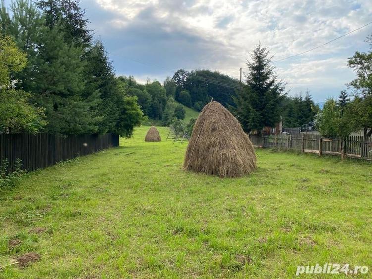 Teren de 2300 mp, în Trăisteni