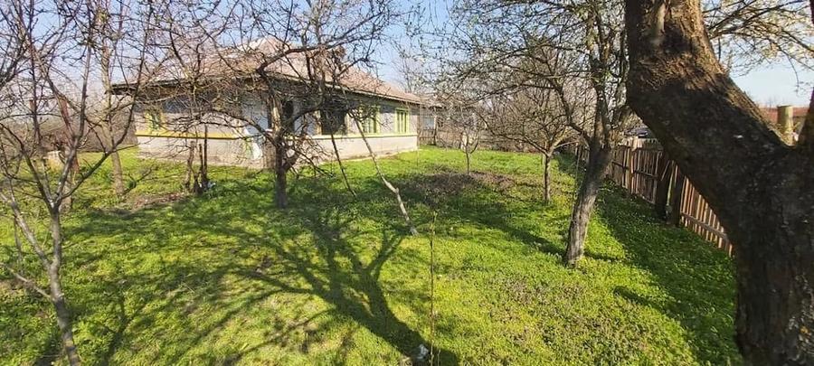 Teren de 7700 mp, în Letca Veche