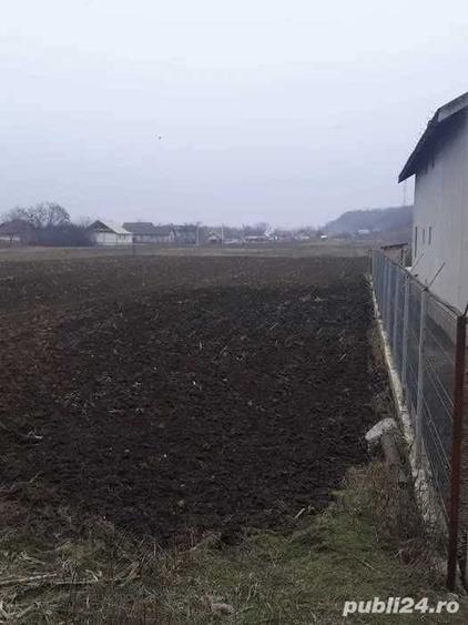 Teren de 2000 mp, în Bora