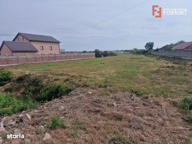 Teren intravilan de 2492 mp de vanzare in Bucovat - 2