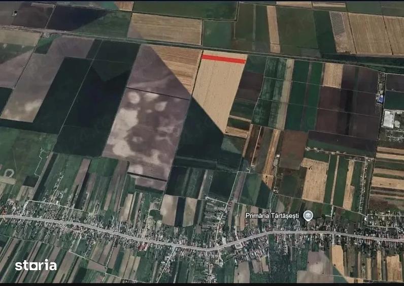 Teren de 10000 mp, în Tărtăria