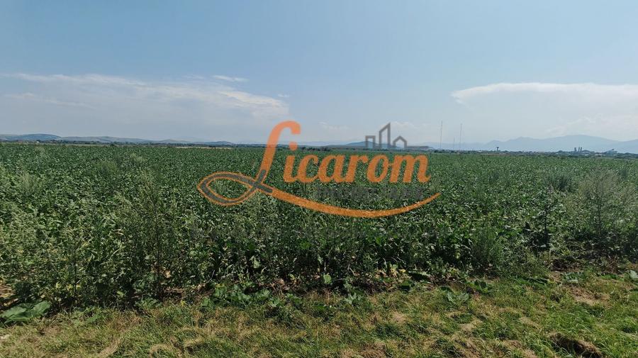 Teren Construcții intravilan de 38500 mp, în Feldioara