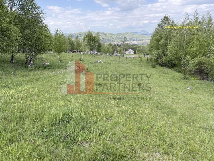 Teren Construcții intravilan de 5261 mp, în Tohănița