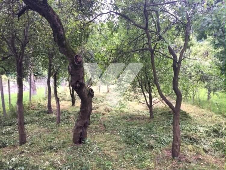 Casă individuală cu 4 camere cu Canalizare în Săliște