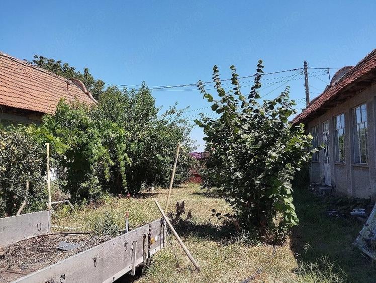 Vand casa in loc.Racovi?a, jud.Timi? - 1
