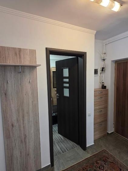 Apartament cu 2 camere decomandat, mobilat în Roșu