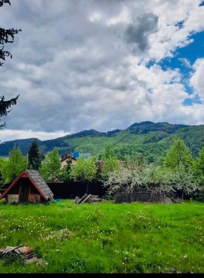 Teren Construcții intravilan de 800 mp, în 13 Decembrie