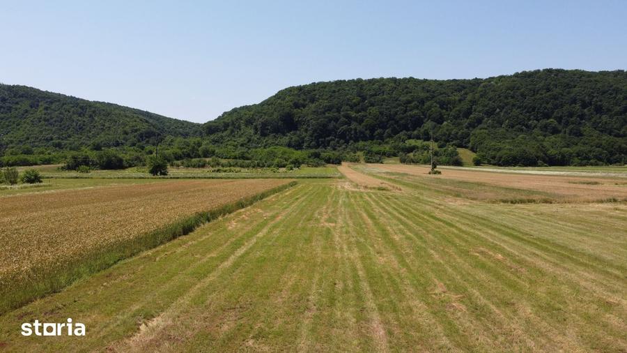 Teren de 5000 mp, în Măgureni