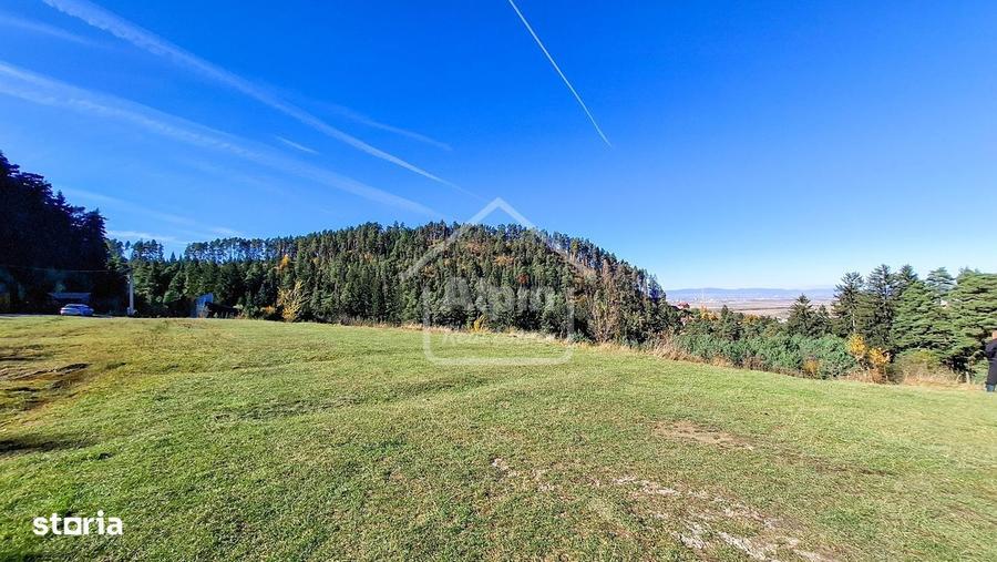 Teren de 3000 mp, în Poiana Angelescu