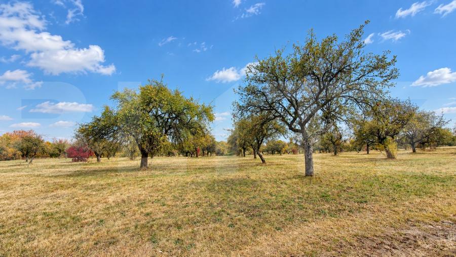 Teren agricol extravilan de 1100 mp, în Zălan