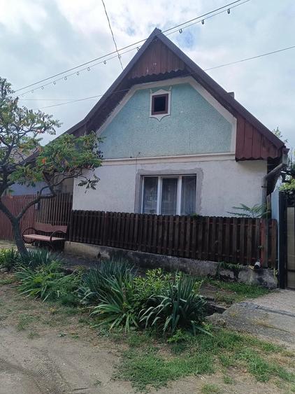 Casă cu 2 camere cu Teren 1068 Mp în Căpușu Mare