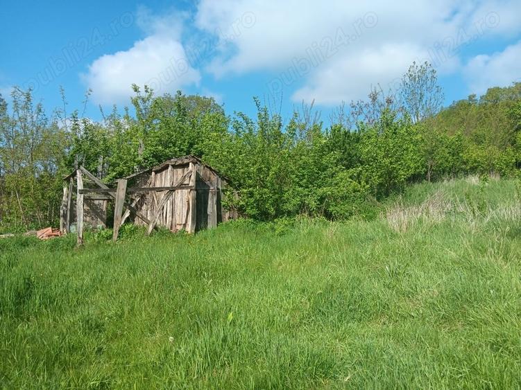 Teren de 3600 mp, în Miceștii de Câmpie