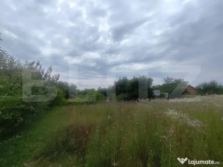 Casa 120 mp utili, 2850 mp teren, zona Bucium - 3