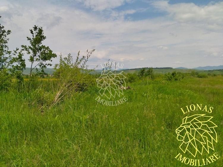 Teren extravilan de 13100 mp, în Orheiu Bistriței