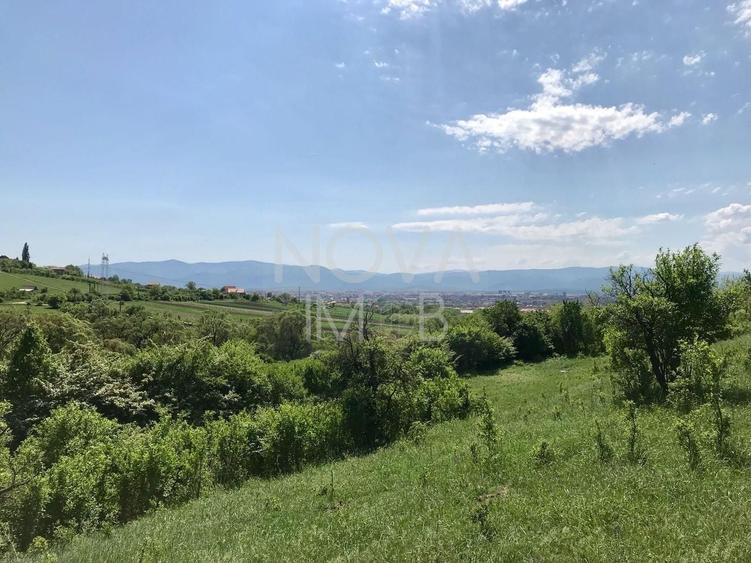 Teren agricol extravilan de 8000 mp, în Gușterița