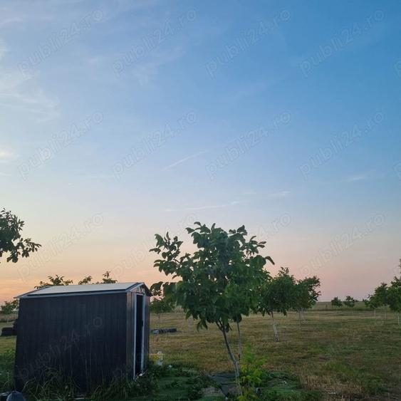 Teren de 10000 mp, în Livada