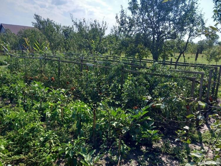 Casă cu 3 camere cu Teren 800 Mp în Firiteaz