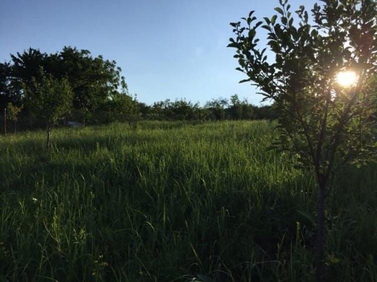 Teren intravilan de 1765 mp, în Podgoria