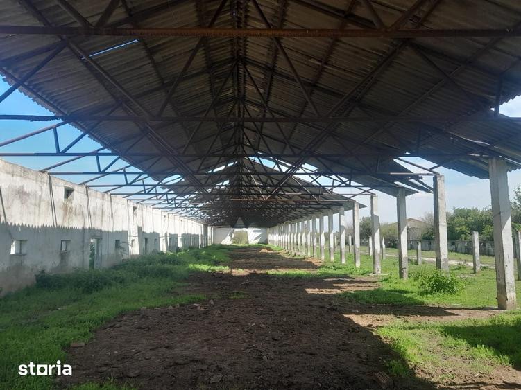 Teren de 84179 mp, în Izvoru