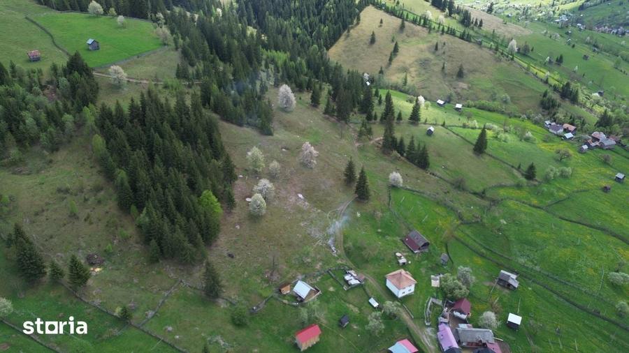 Teren de 22959 mp, în Sadova