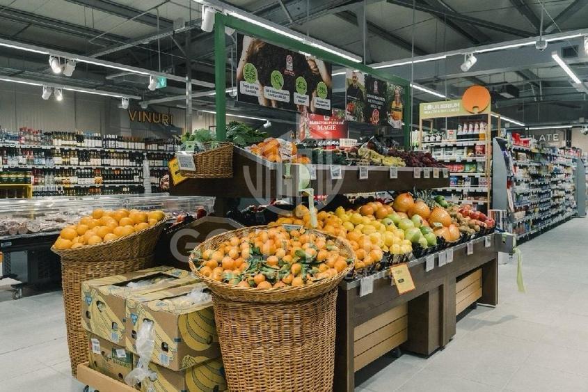 Spațiu comercial, de 461 mp, în Dacia