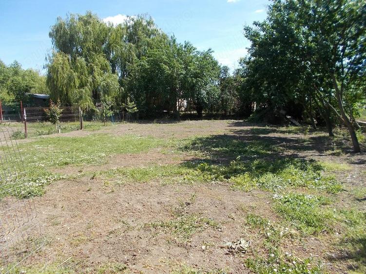 Casa mobilata sau afacere, Sanandrei, P+M+garaj mare 1670mp teren - 1