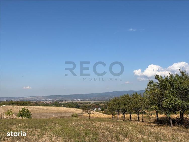 Casă cu 4 camere cu Teren 4436 Mp în Măgești