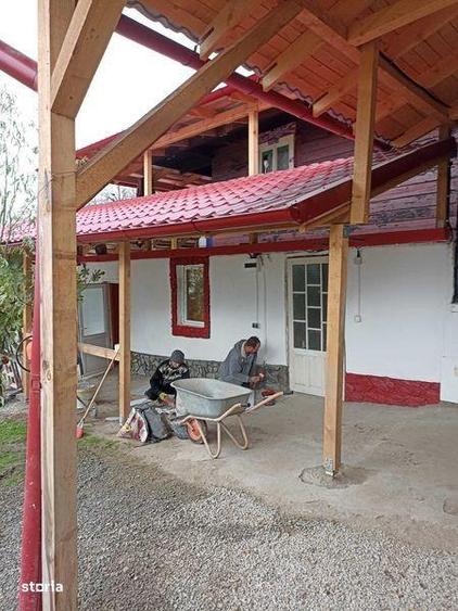 Vand conac de vanatoare in Defileul Dunarii - 1