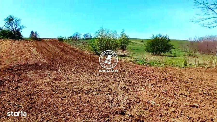 Teren pentru constructii case de vanzare Iasi, Rediu, - 2