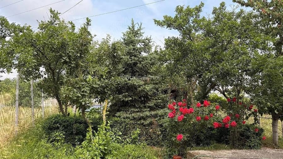 vila p+1+mansarda pantelimon ilfov