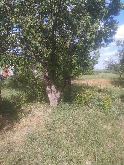 Casă cu 4 camere în Sânmartin