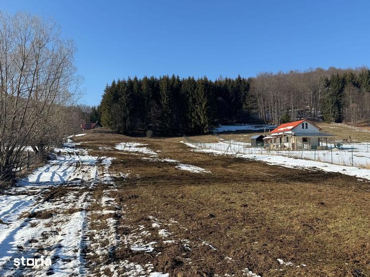 Teren de 4521 mp, în Valea Doftanei