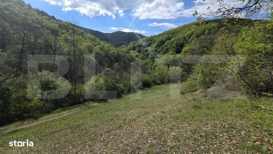 Spațiu comercial, în Pădure