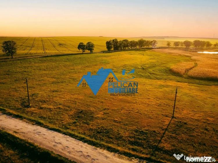 Teren de 27500 mp, în Murighiol