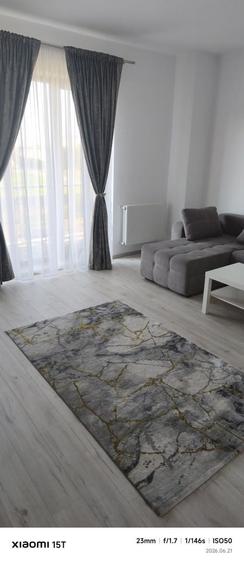 Apartament cu 2 camere decomandat în Olteni