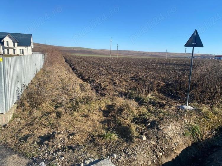 Teren de 4500 mp, în Speranța