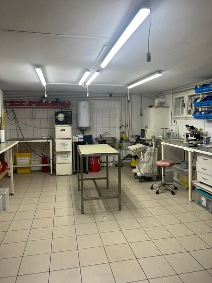Casă individuală cu 8 camere cu Canalizare în Torontalului
